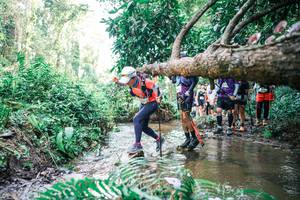 BIB: 
                            <button type="button" onclick="openModal(25477079)" class="btn btn-primary btn-sm float-right btn-popup" data-toggle="modal" data-target=".modal-high-quality">
                        <i class="fas fa-shopping-cart"></i> Add to Cart
                    </button>
                                            <button type="button" onclick="isThisMe(25477079, true)" class="btn btn-success btn-sm float-right btn-popup btn-isme hidden" data-toggle="tooltip" data-placement="bottom" title="นี่คือรูปของคุณใช่ไหม คลิกที่นี่เพื่อเอาเข้าอัลบั้ม">
                        <i class="fas fa-plus"></i> Add to album
                    </button>
                    <button type="button" onclick="isThisMe(25477079, false)" class="btn btn-warning btn-sm float-right btn-popup btn-isnotme hidden">
                        <i class="fas fa-ban"></i> Remove from album
                    </button>